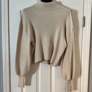 Express Cream Ribbed Turtleneck Sweater